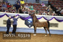 20YN_63519 proof