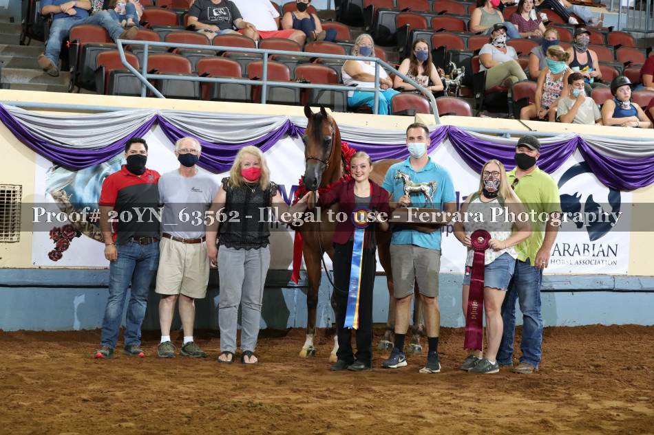 Proof 20YN_63562