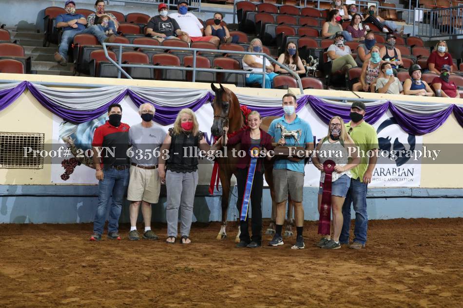 Proof 20YN_63563