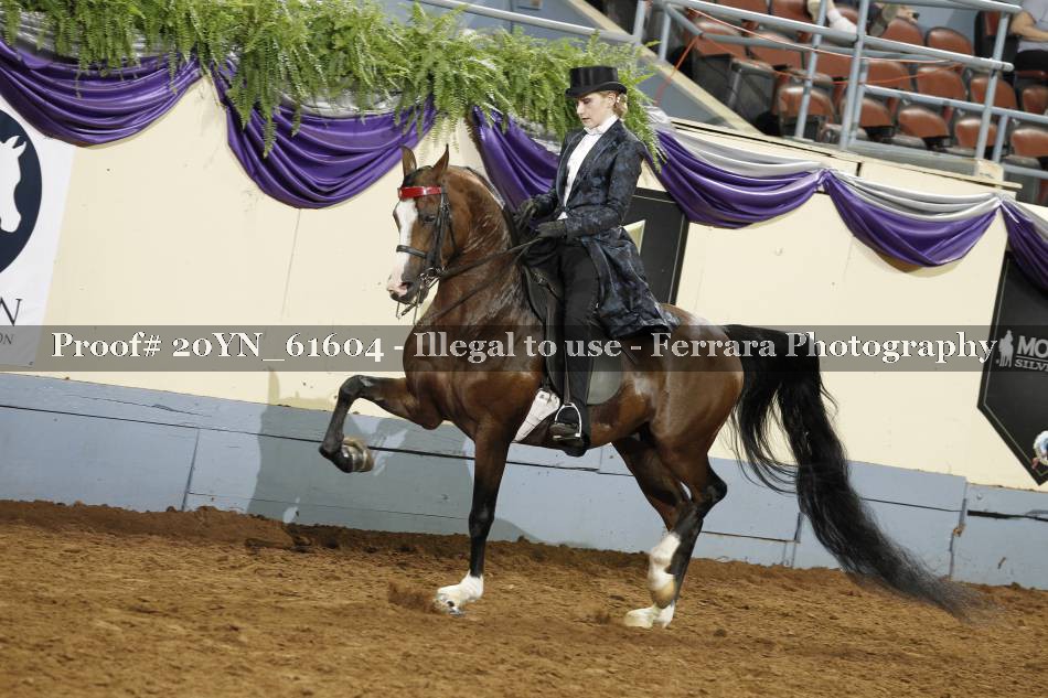 Proof 20YN_61604