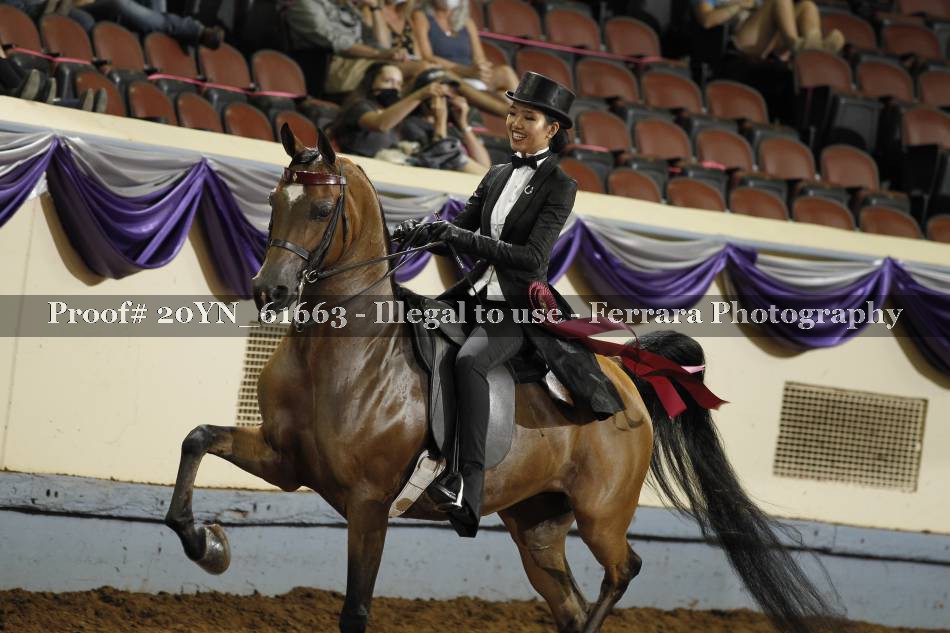 Proof 20YN_61663