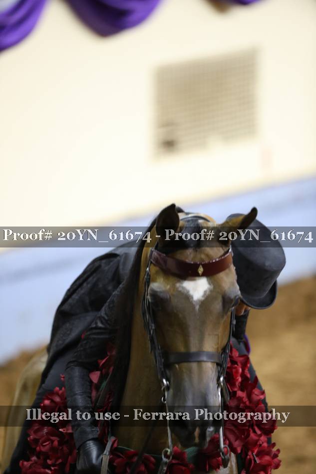 Proof 20YN_61674