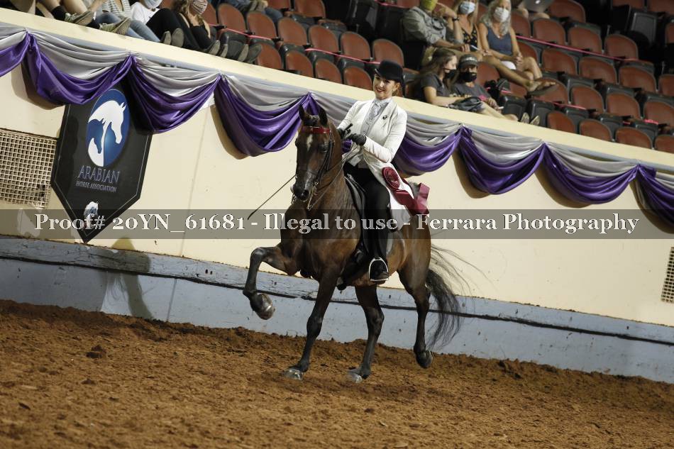 Proof 20YN_61681