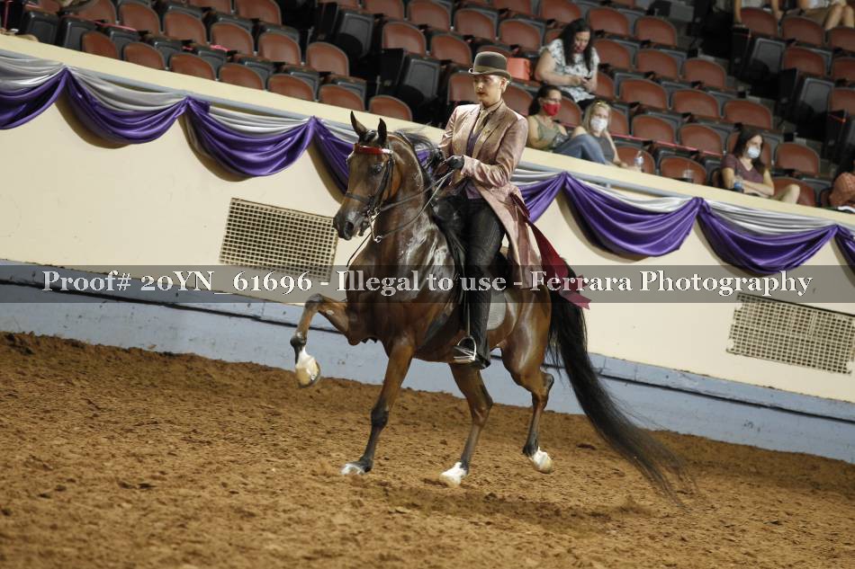 Proof 20YN_61696