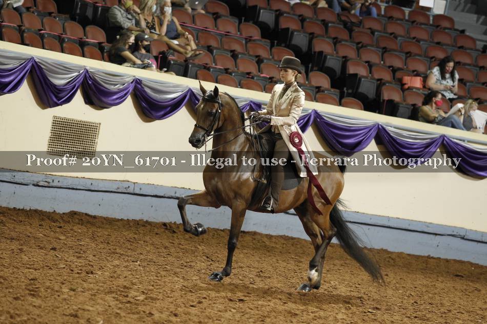 Proof 20YN_61701