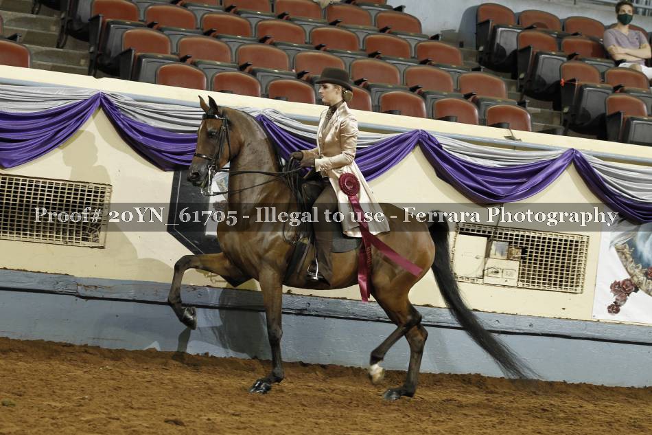 Proof 20YN_61705