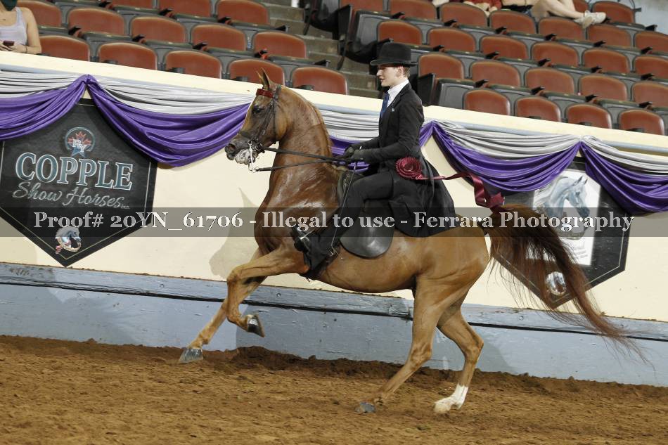 Proof 20YN_61706