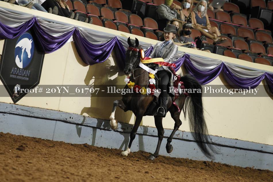 Proof 20YN_61707