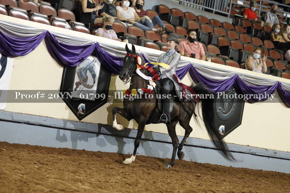 Proof 20YN_61709