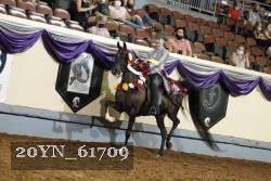 20YN_61709 proof