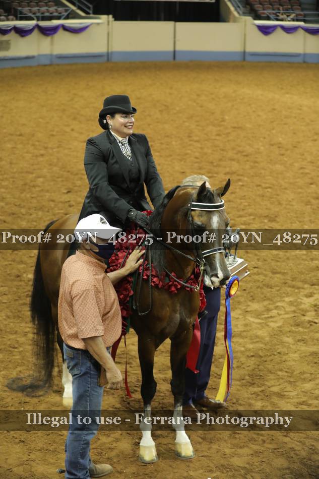 Proof 20YN_48275
