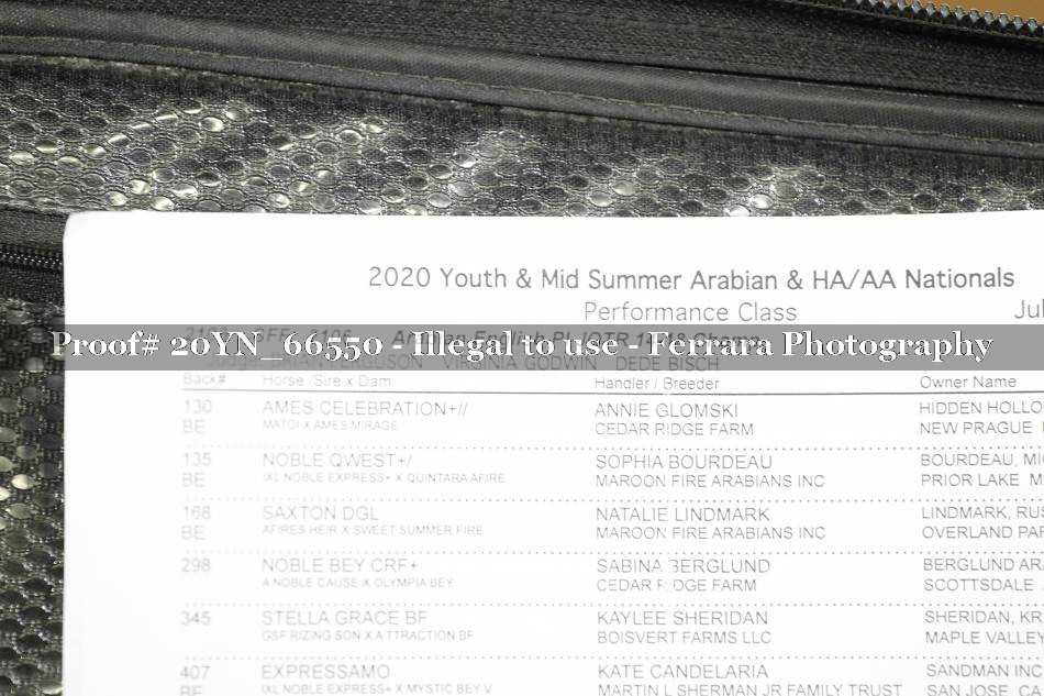 Proof 20YN_66550