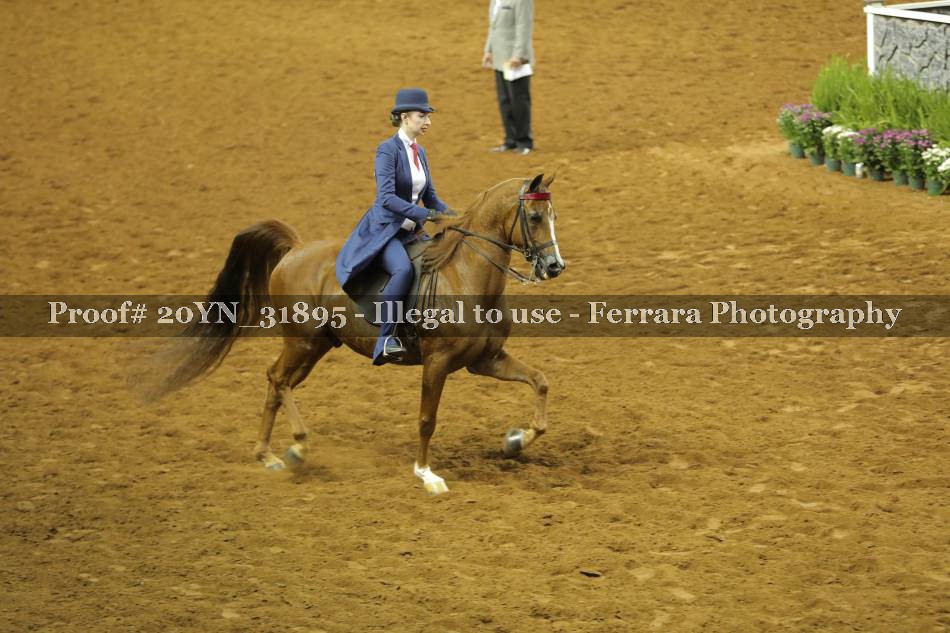 Proof 20YN_31895