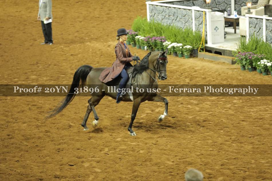 Proof 20YN_31896