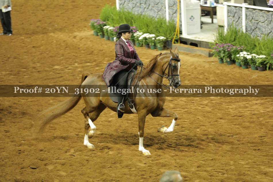 Proof 20YN_31902