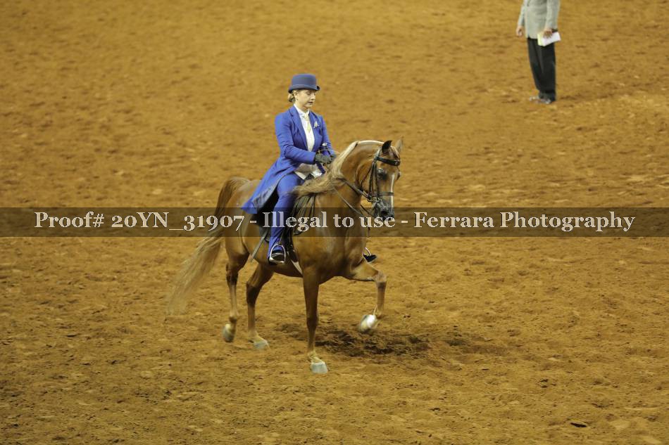 Proof 20YN_31907