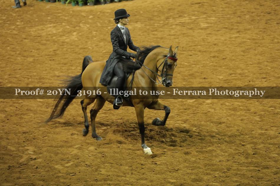 Proof 20YN_31916