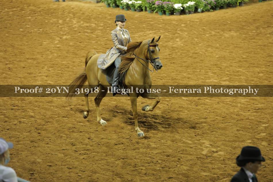Proof 20YN_31918