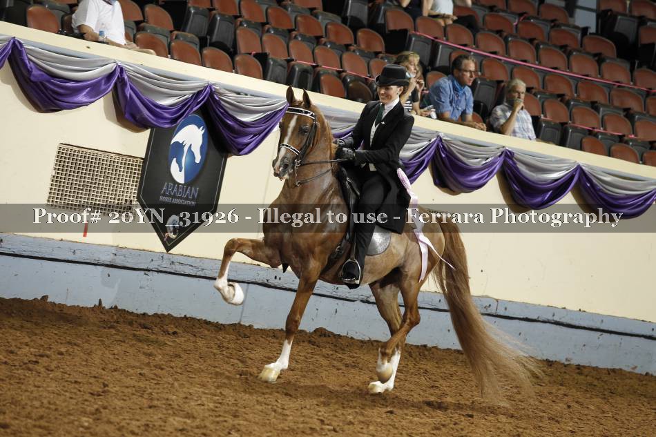 Proof 20YN_31926