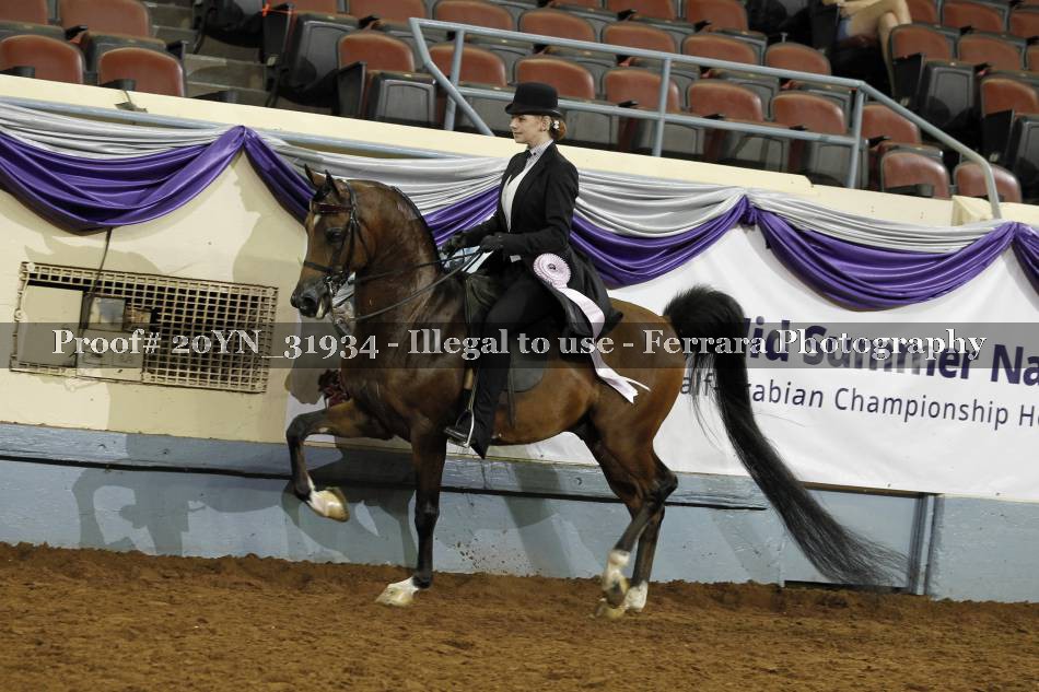 Proof 20YN_31934