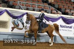 20YN_31942 proof