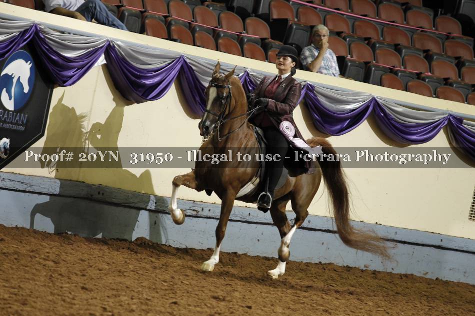 Proof 20YN_31950