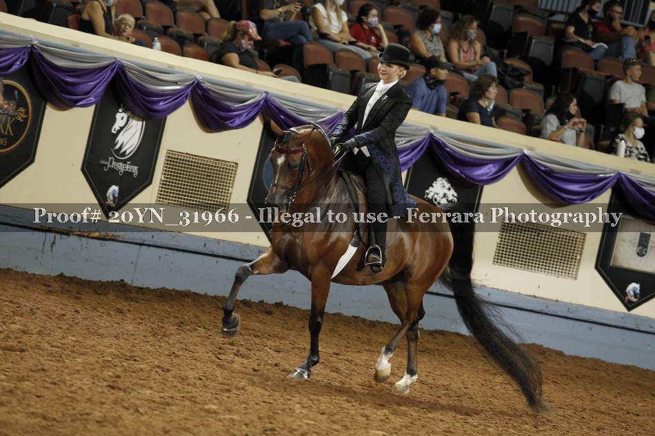 Proof 20YN_31966