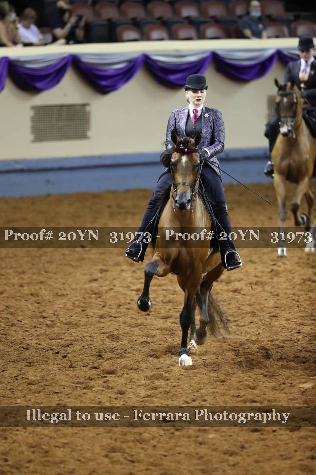Proof 20YN_31973