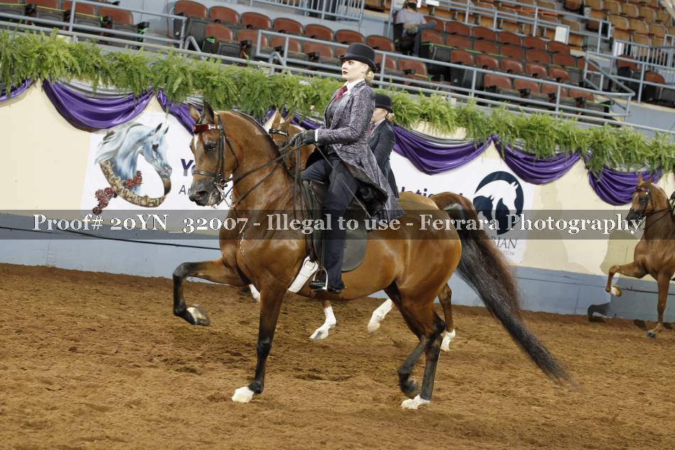 Proof 20YN_32007