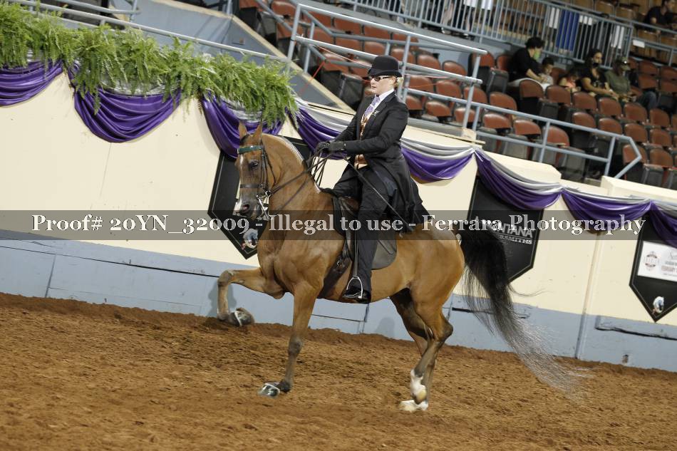 Proof 20YN_32009