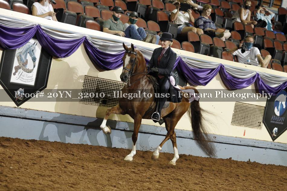 Proof 20YN_32010