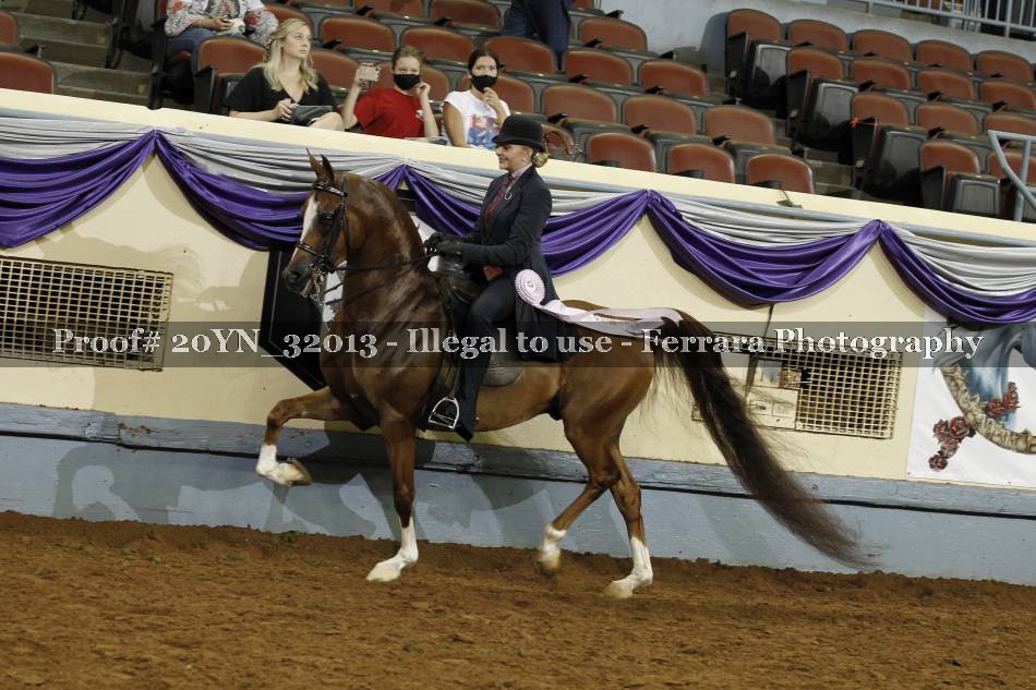 Proof 20YN_32013