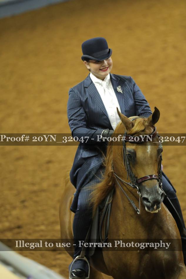 Proof 20YN_32047