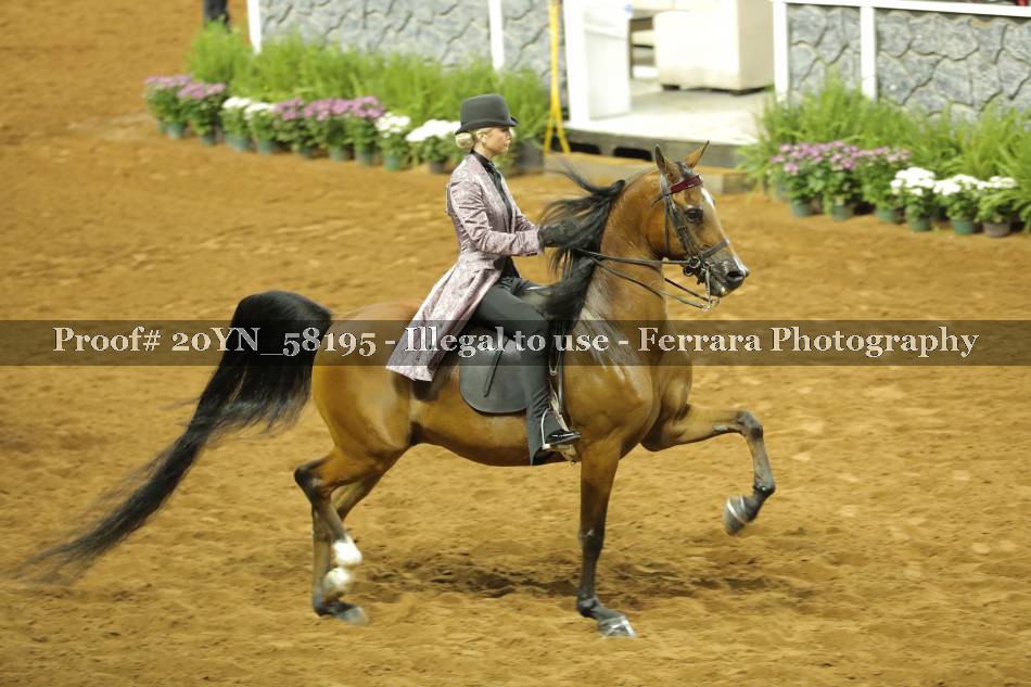 Proof 20YN_58195
