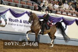 20YN_58463 proof