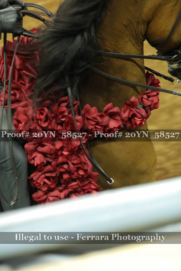 Proof 20YN_58527