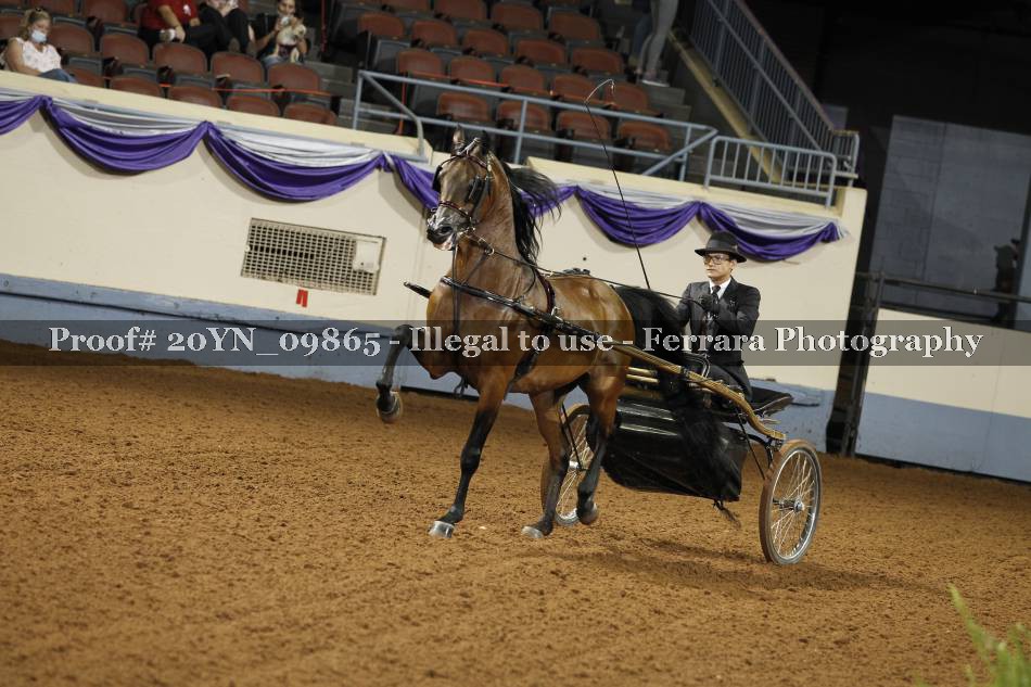 Proof 20YN_09865