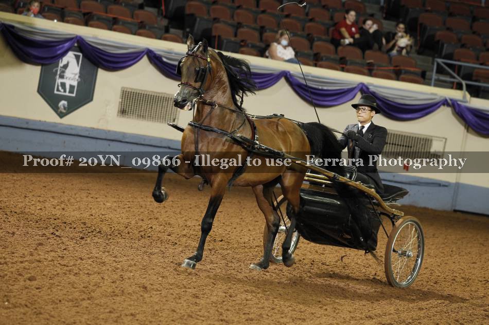 Proof 20YN_09866