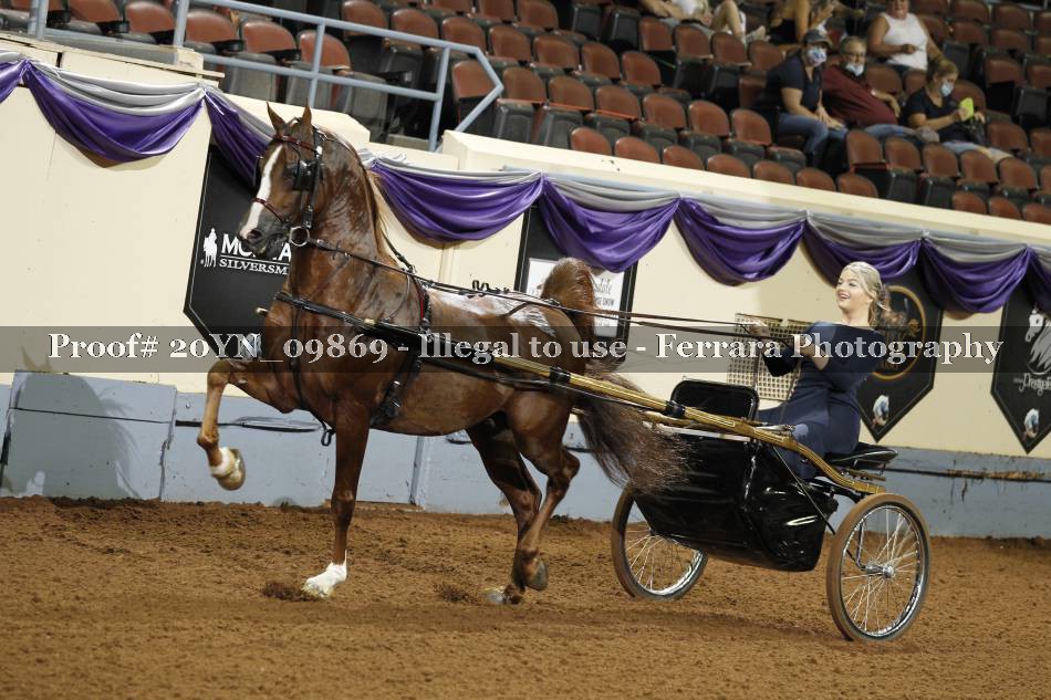 Proof 20YN_09869