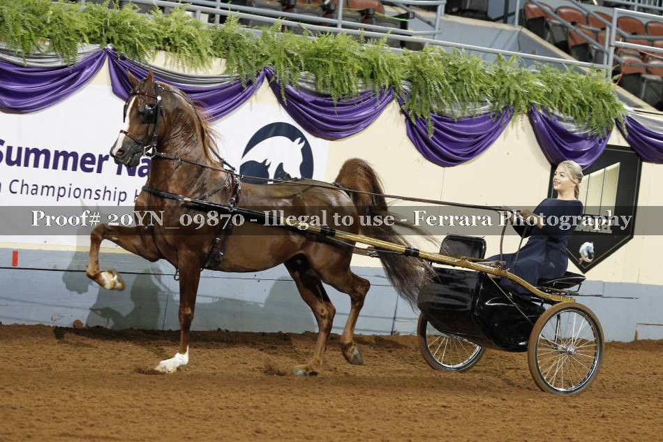 Proof 20YN_09870