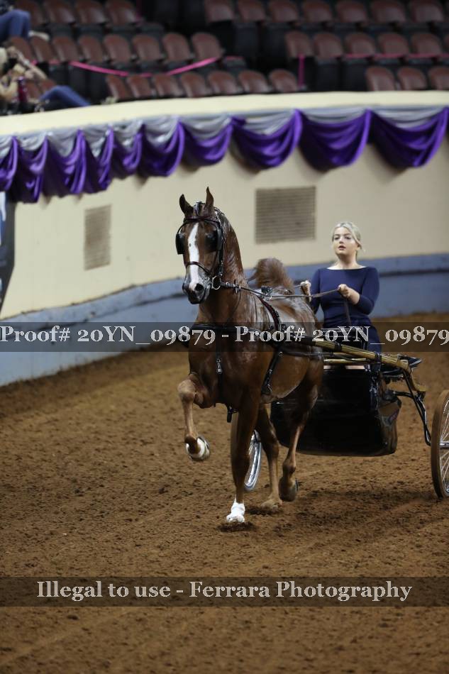 Proof 20YN_09879