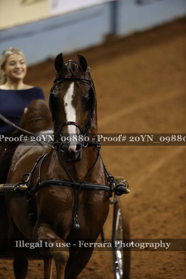 Proof 20YN_09880