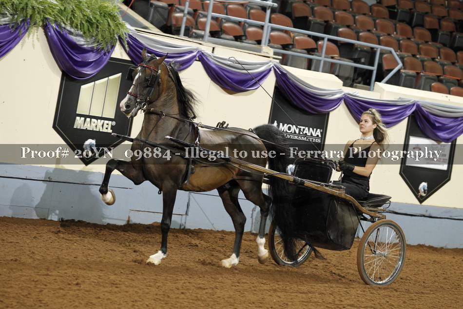 Proof 20YN_09884
