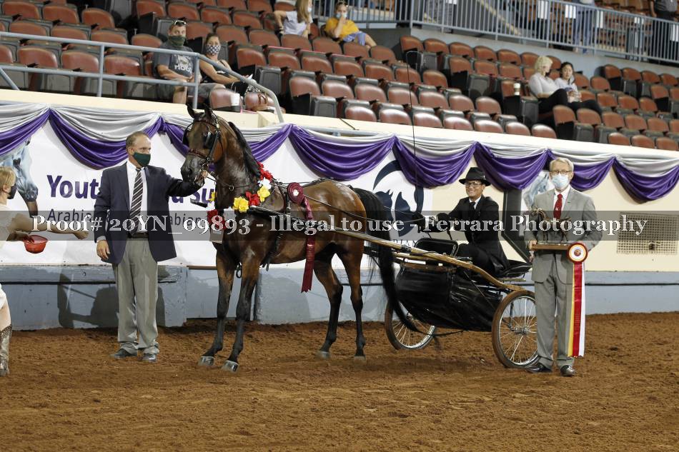 Proof 20YN_09893