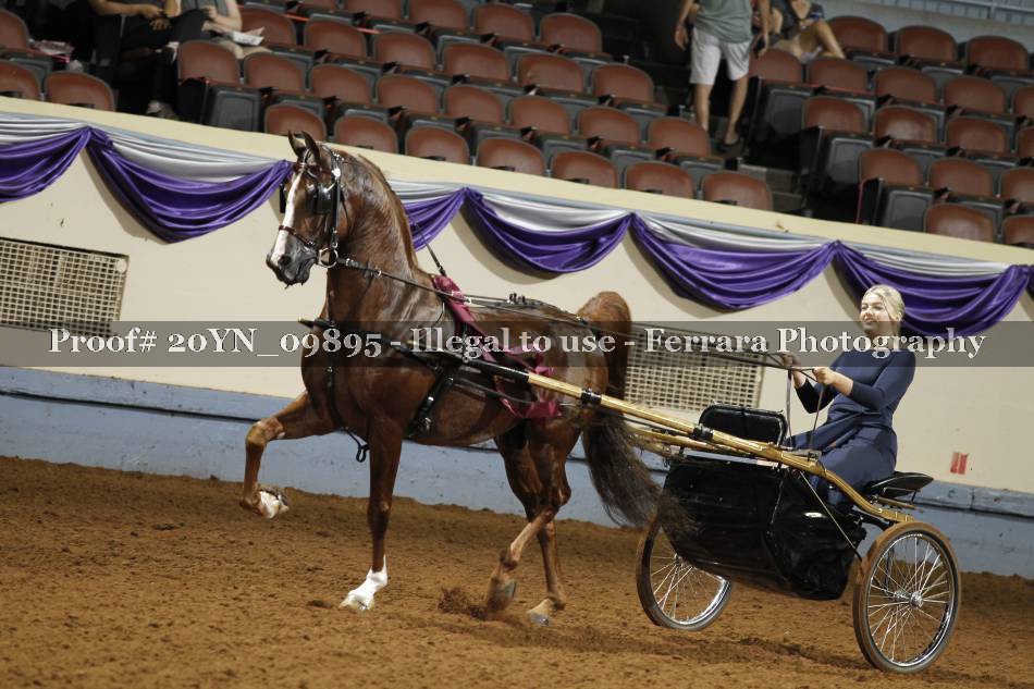 Proof 20YN_09895