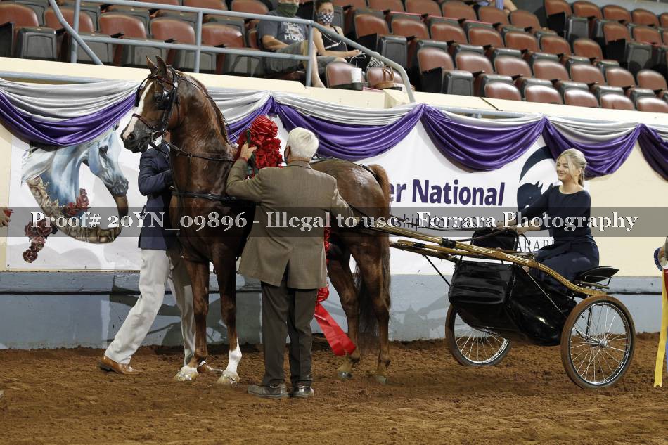 Proof 20YN_09896