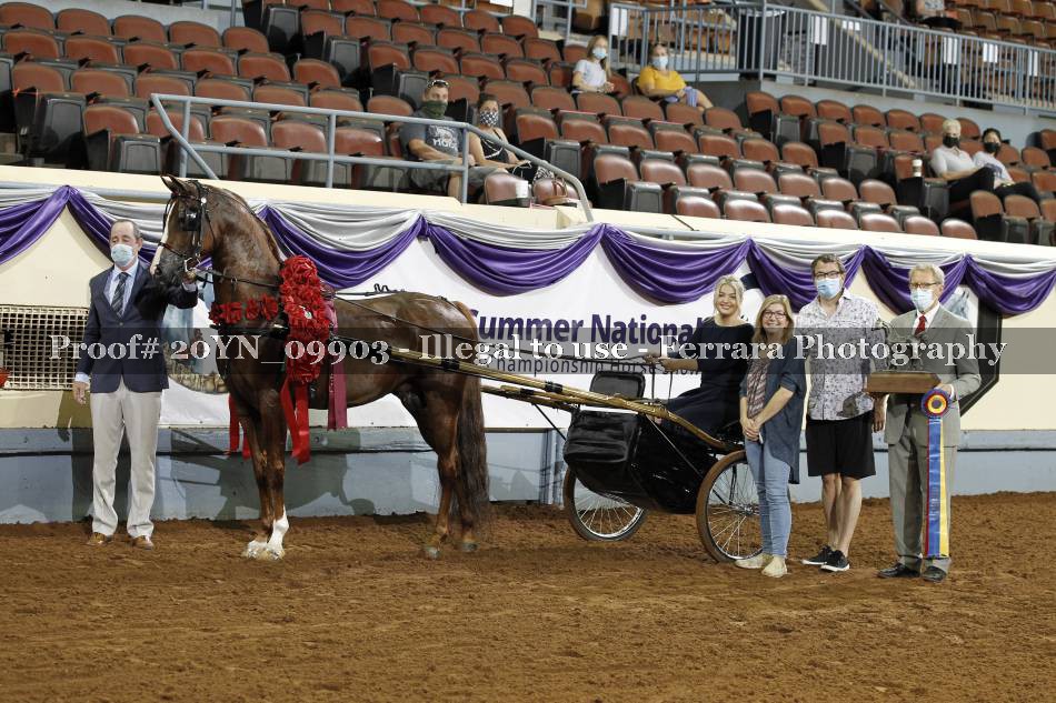 Proof 20YN_09903