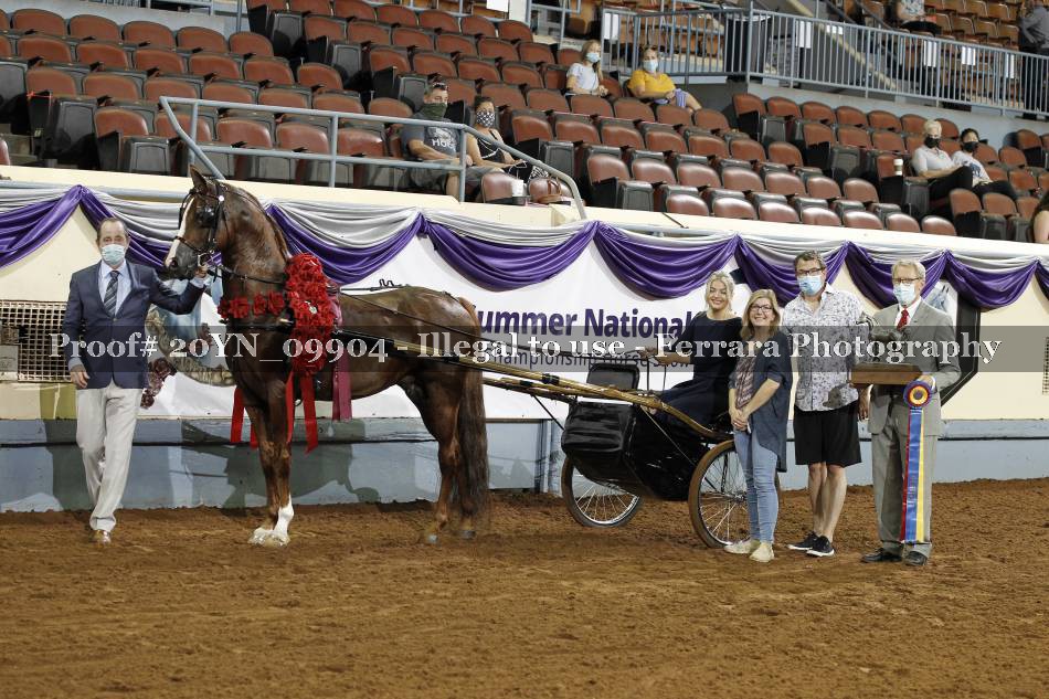 Proof 20YN_09904