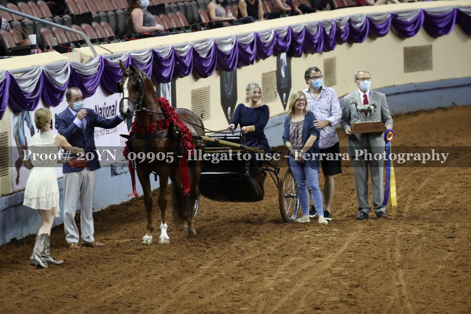 Proof 20YN_09905