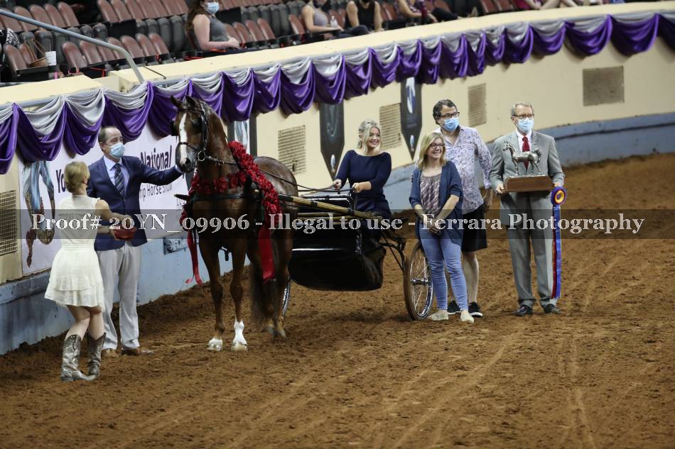 Proof 20YN_09906